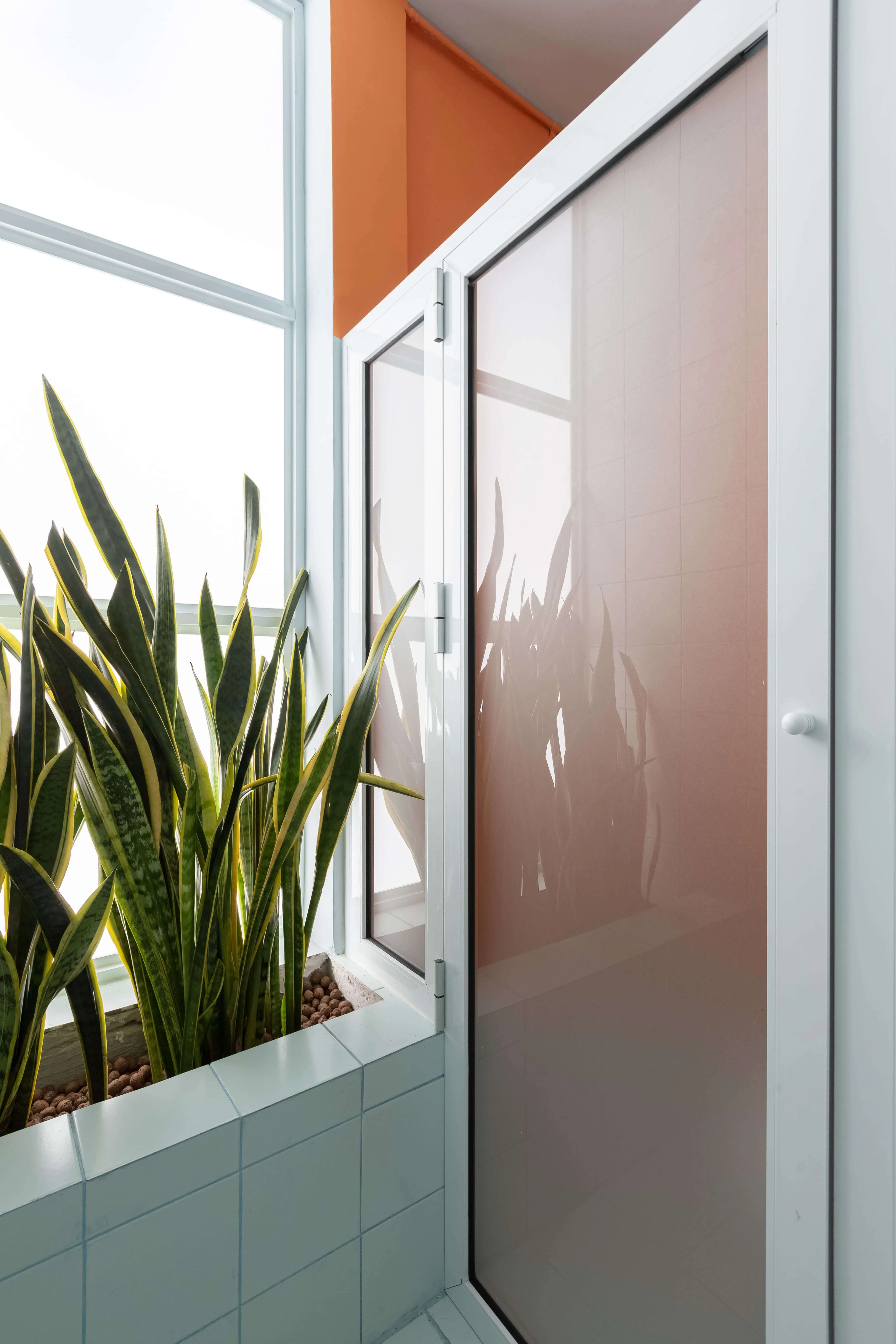 Plantas e azulejos decorativos com porta.